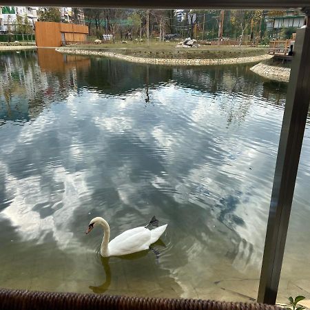 Mb Luxury Apartments Tirana Eksteriør billede