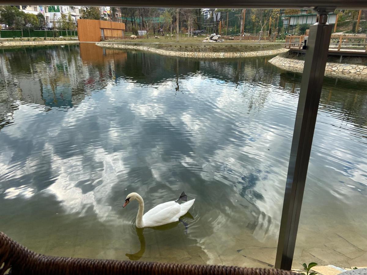 Mb Luxury Apartments Tirana Eksteriør billede
